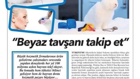 Hayvan Hakları: Hayvan Deneyleri ve Alternatif Yöntemler